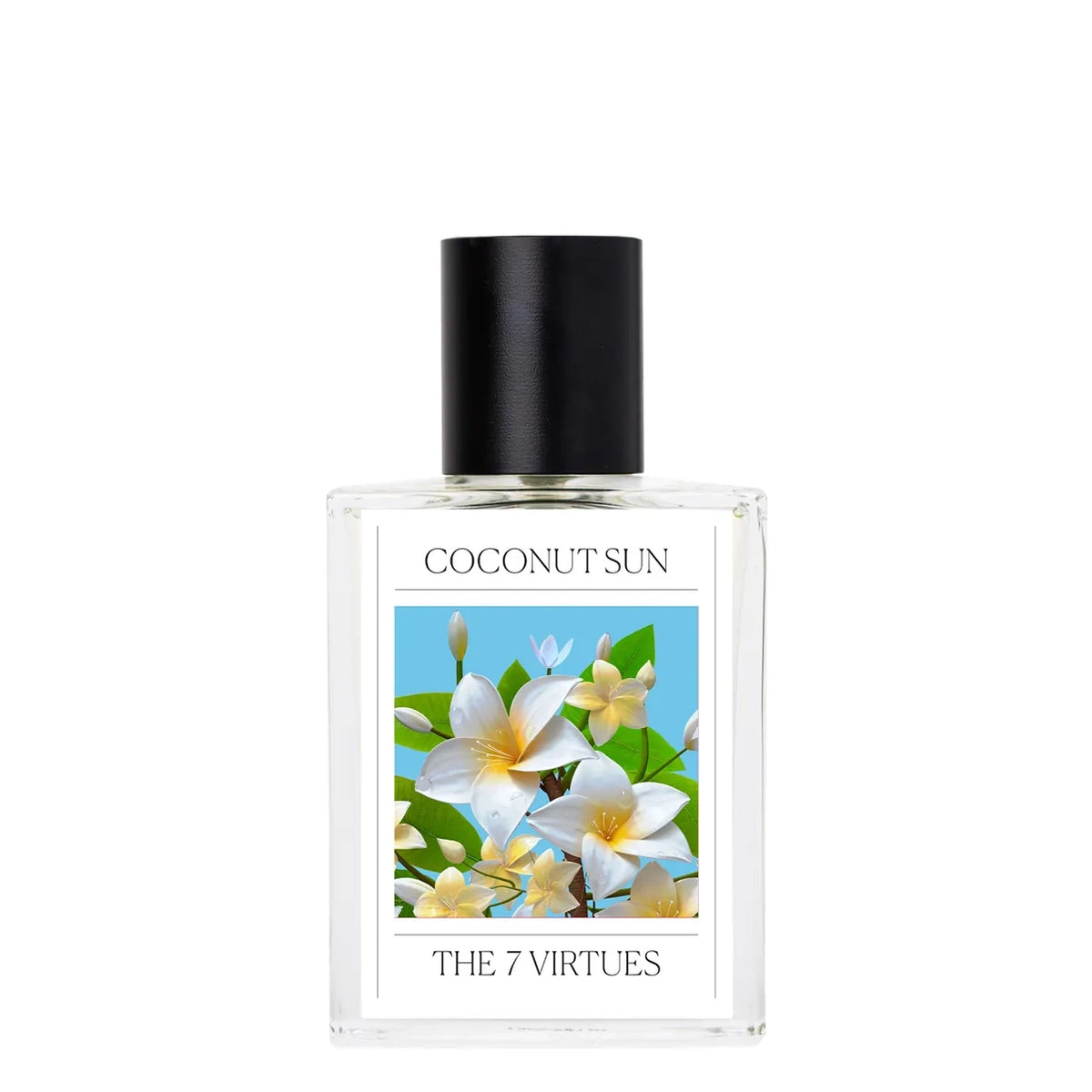 The 7 Virtues Coconut Sun