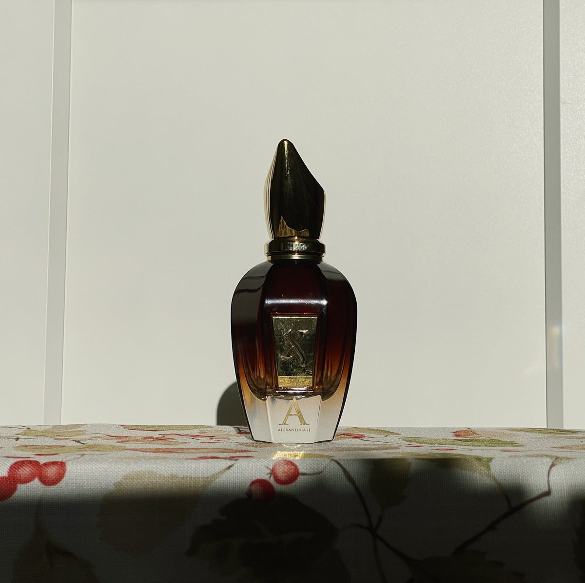Empty Perfume Bottles for Display & Decor
