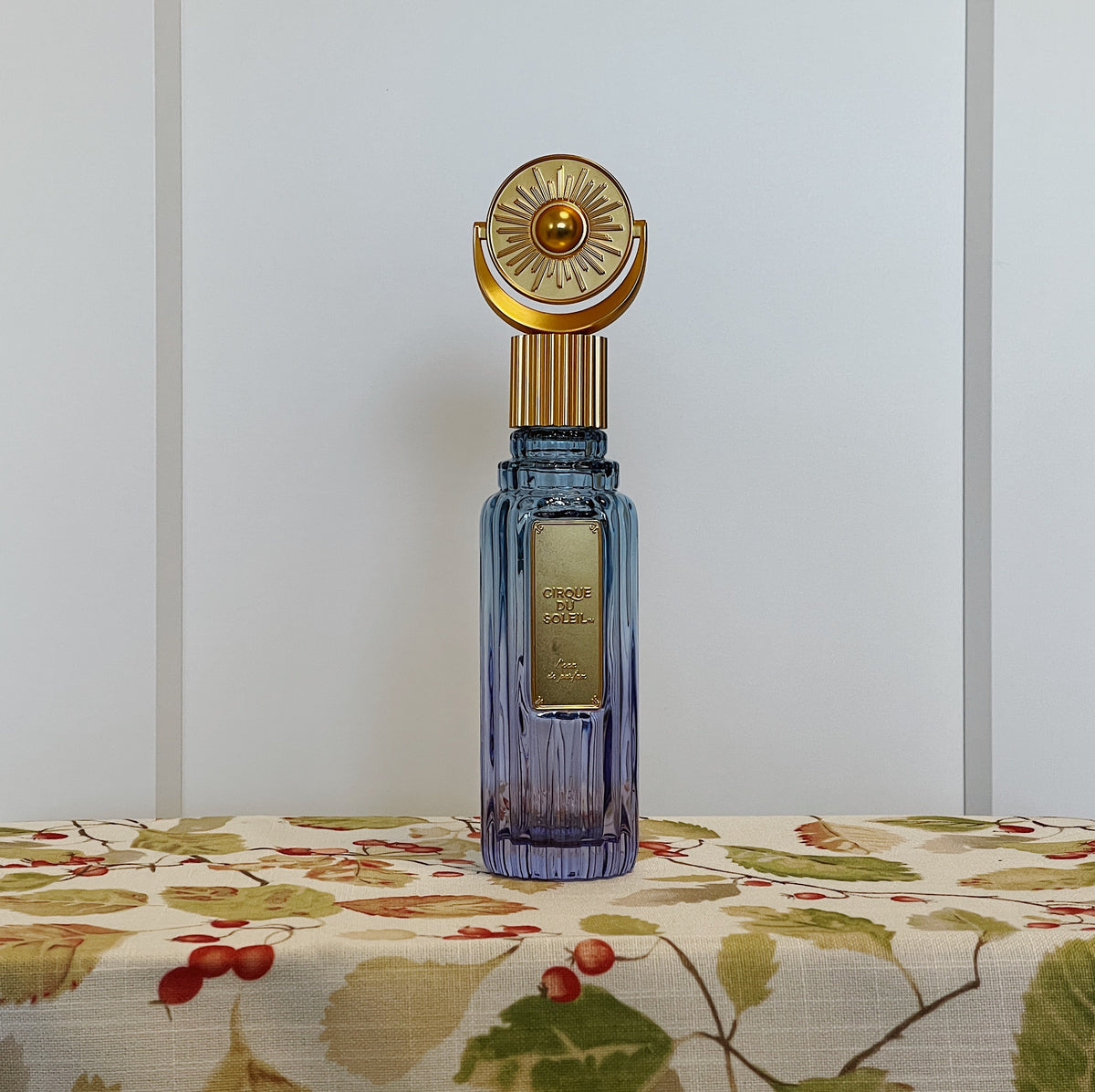 Empty Perfume Bottles for Display & Decor