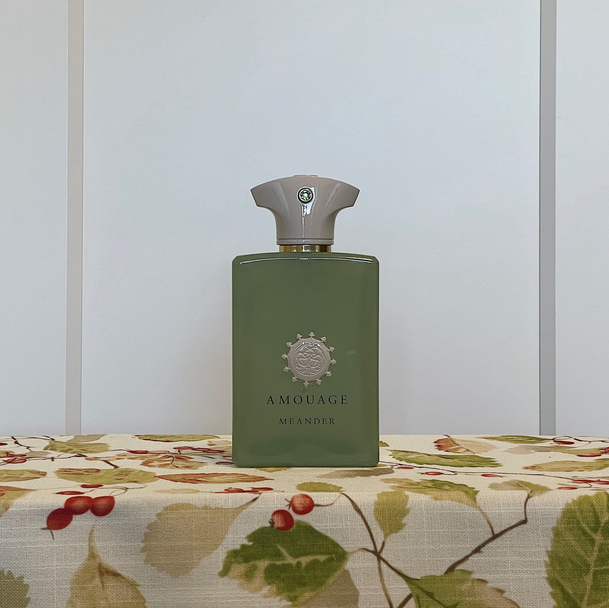 Empty Perfume Bottles for Display & Decor