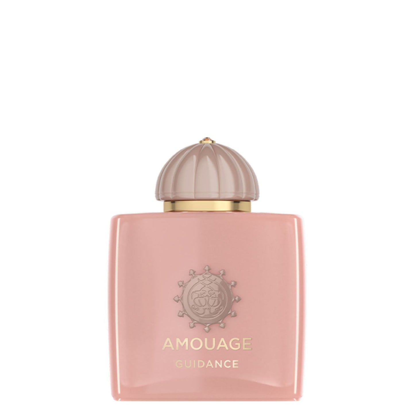 Amouage Guidance